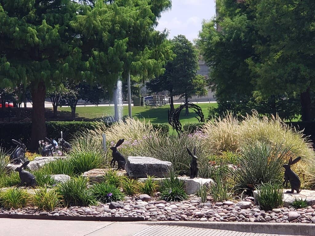 Tranquil Pond Areas