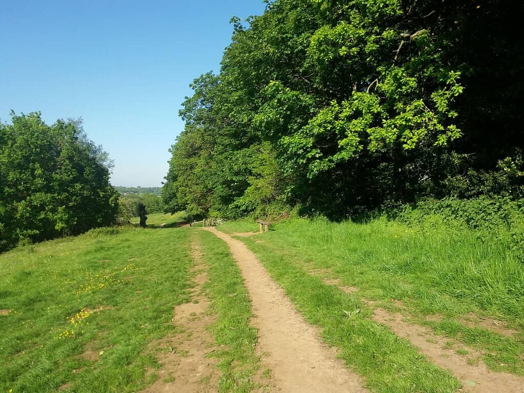 Bandstand Performances