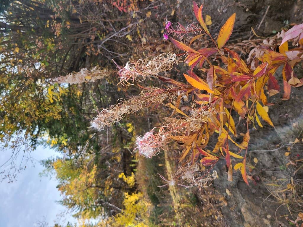 Black Elk Peak Hike
