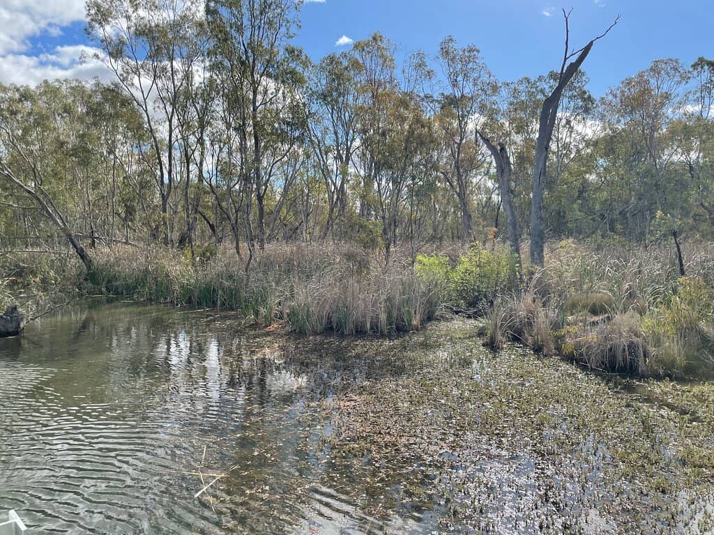 River Red Gum Drive