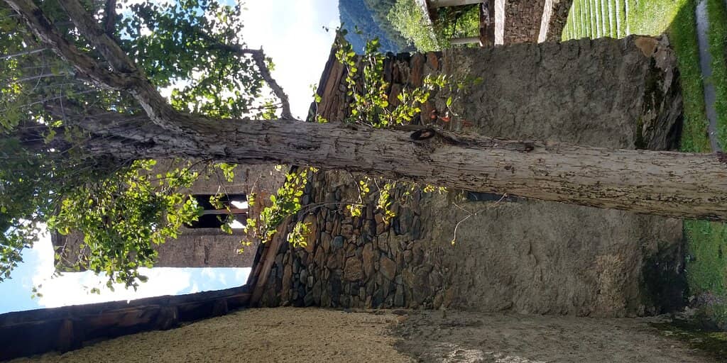 Romanesque & Baroque Blend