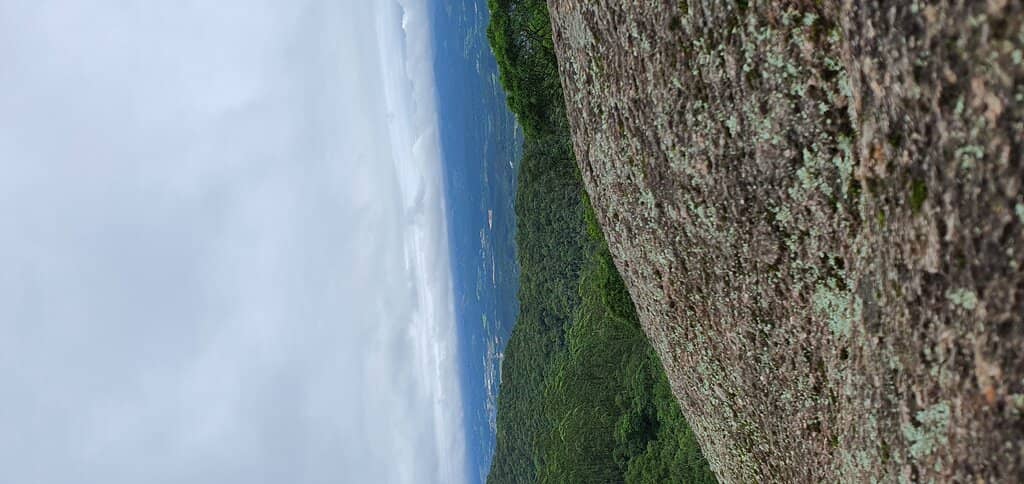 Scenic Hiking Trails