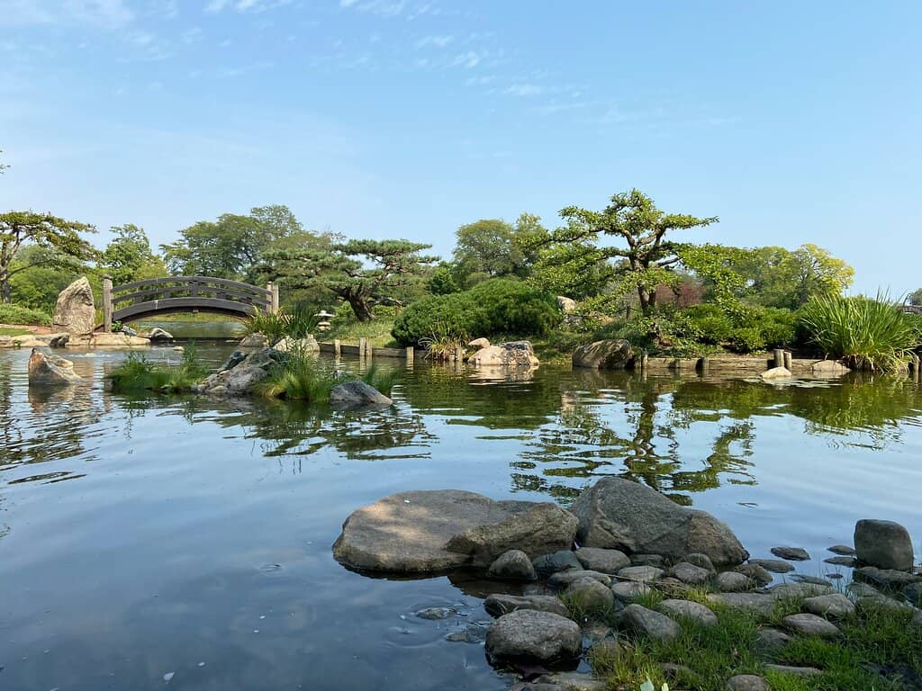 Cherry Blossom Season