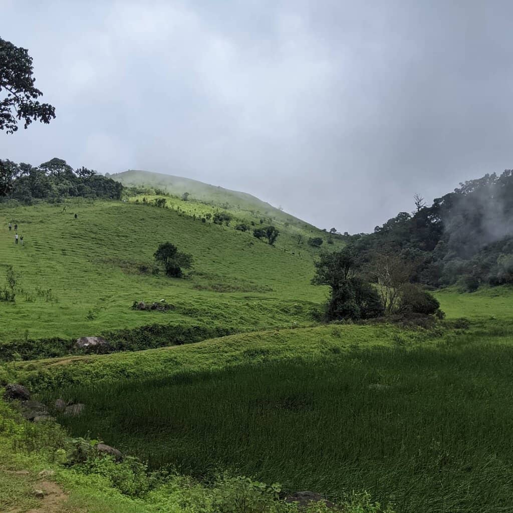 The Refreshing 2km Trek