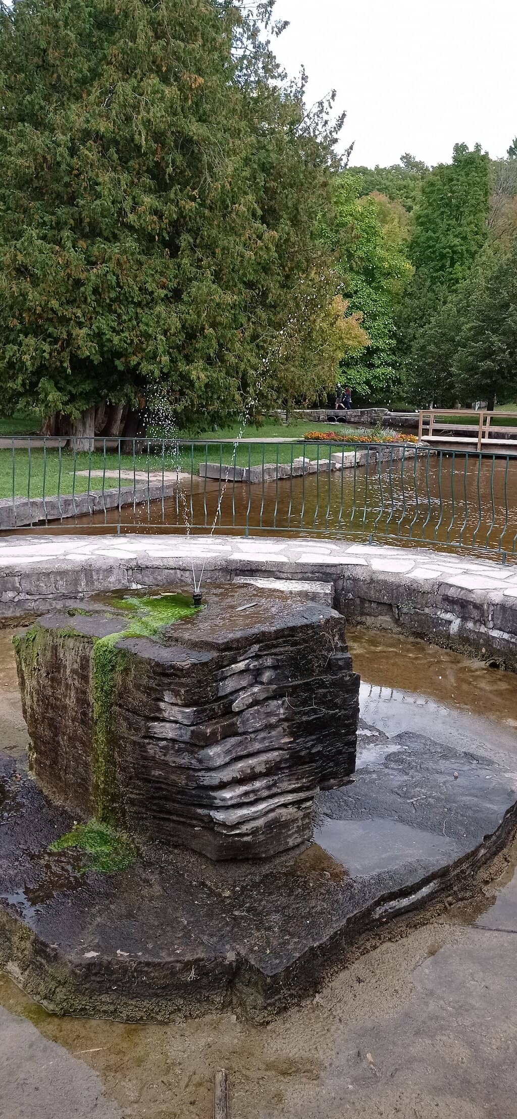 Sydenham River Views