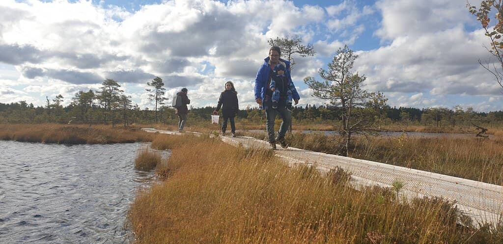 Bog Boardwalk Trails