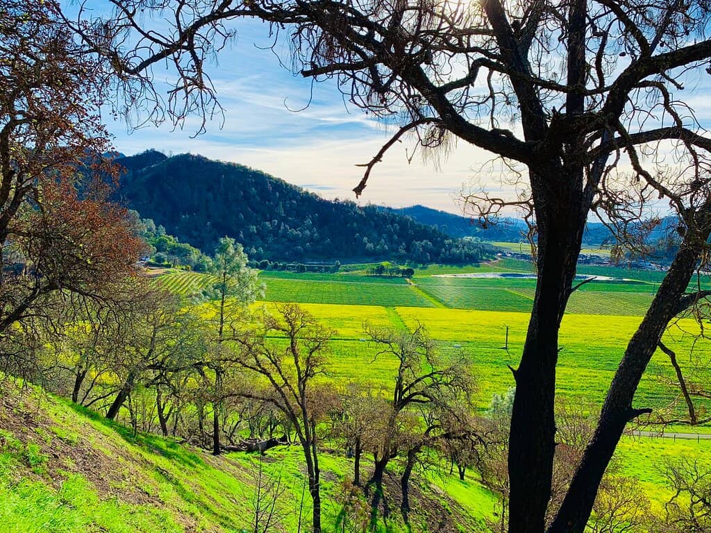 Panoramic Valley Views