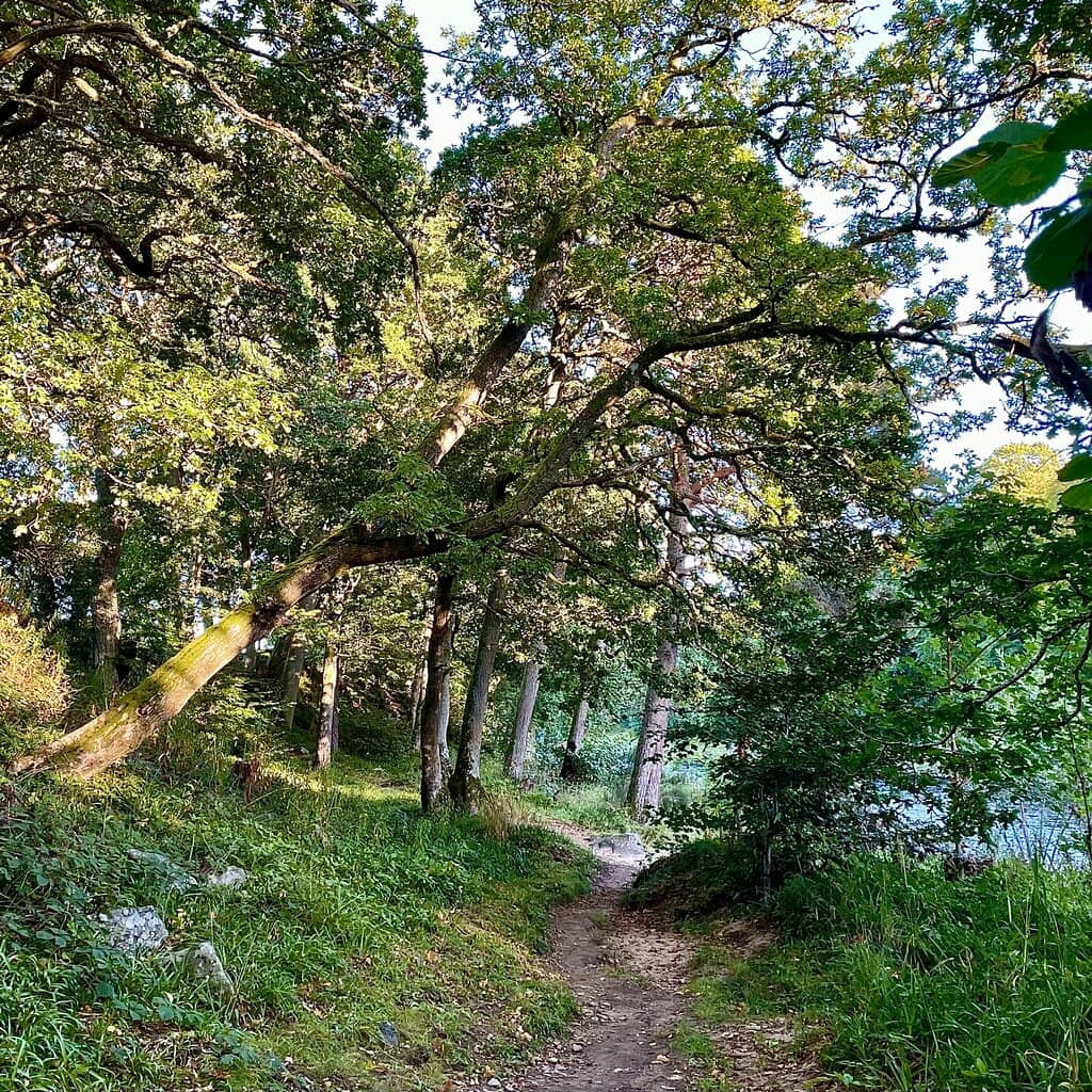 Scenic River Walks