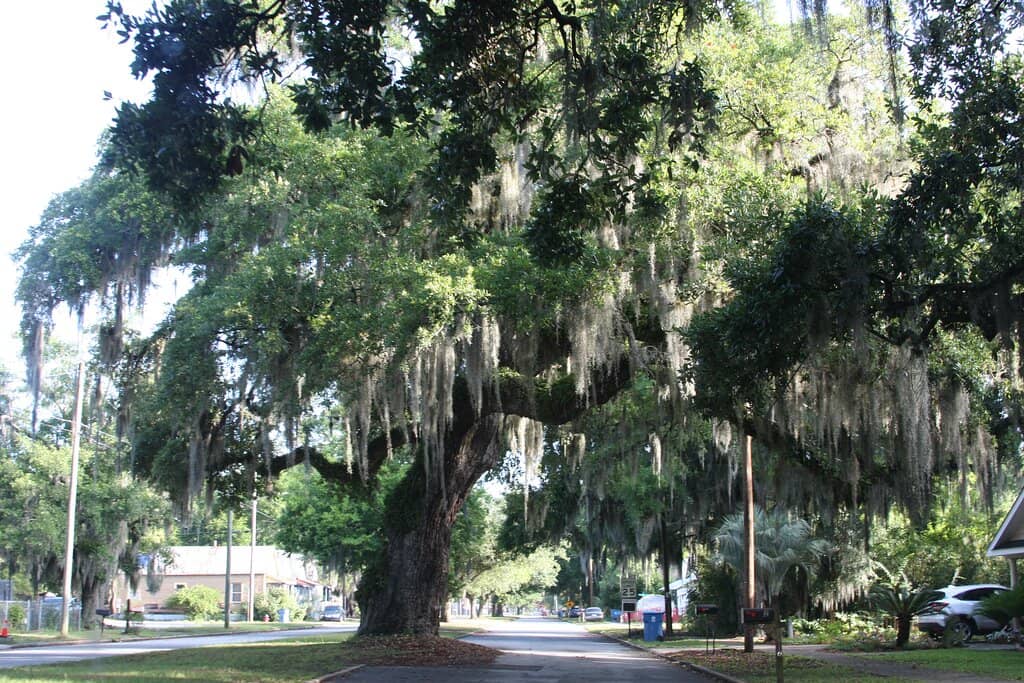 A Glimpse of History