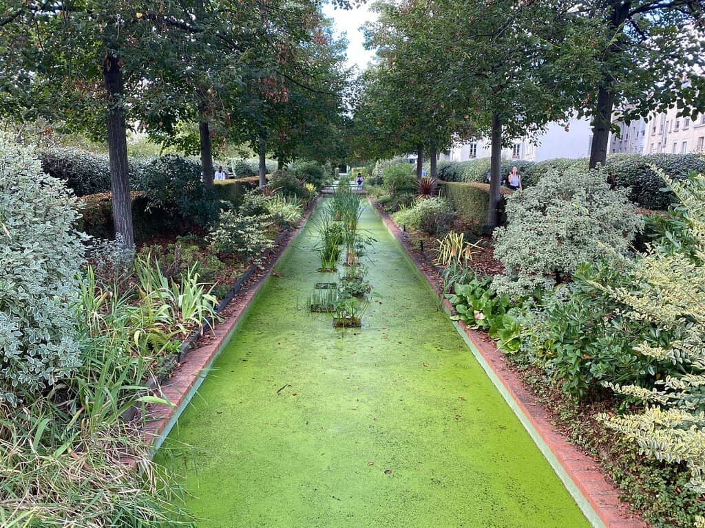 Picnic & Play Areas