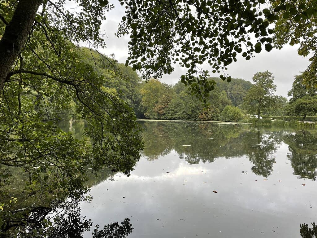 Beautiful Garden Views