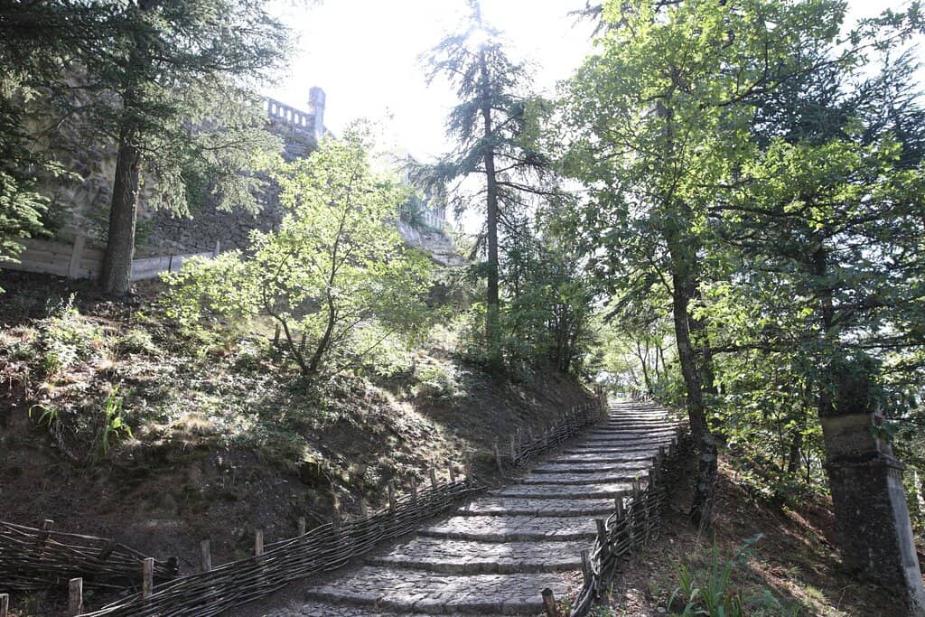 Vertical photo