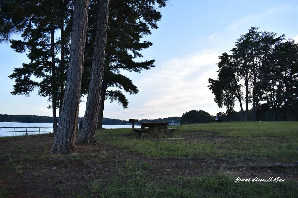Picnic & Grilling Areas