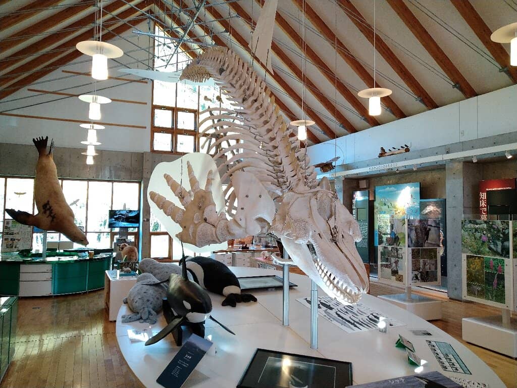 Wildlife Exhibits