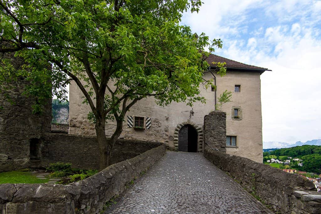 Schattenburg Museum
