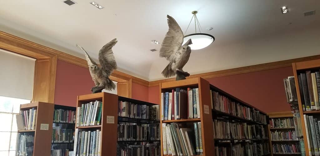 The Workshop Maker Space