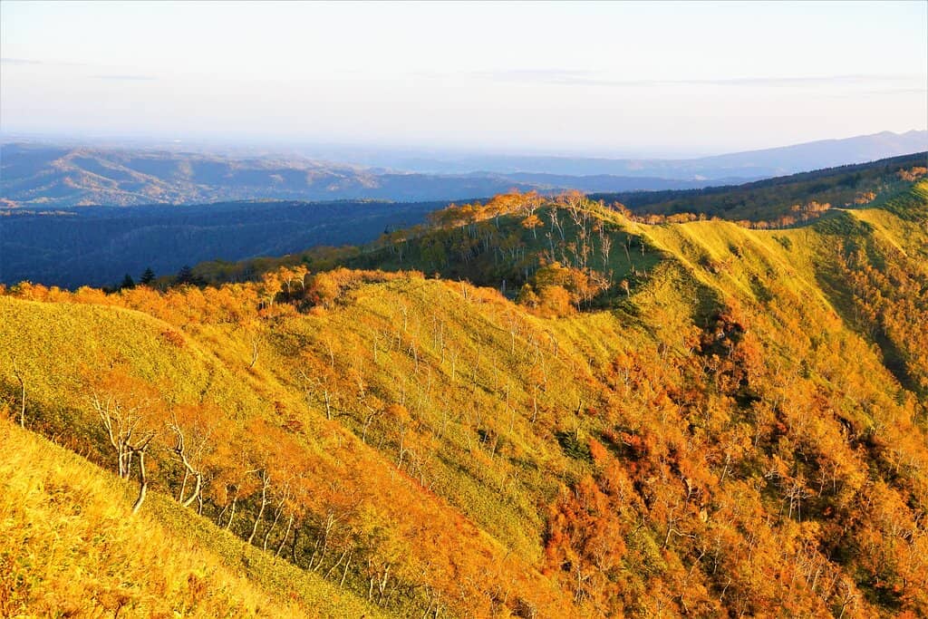 Panoramic Caldera Views