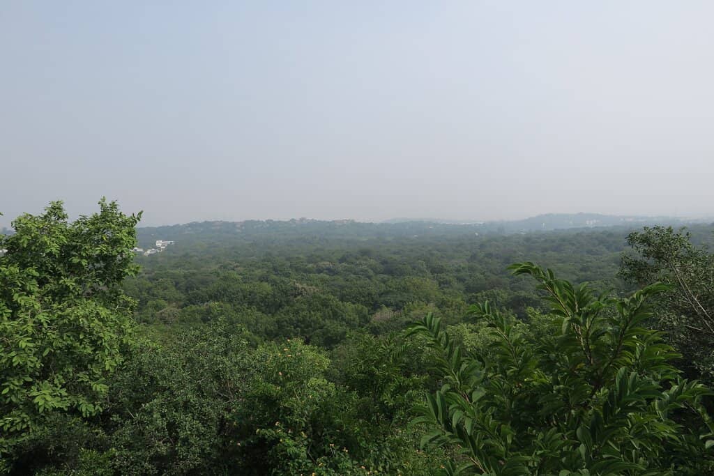 Scenic Viewpoint