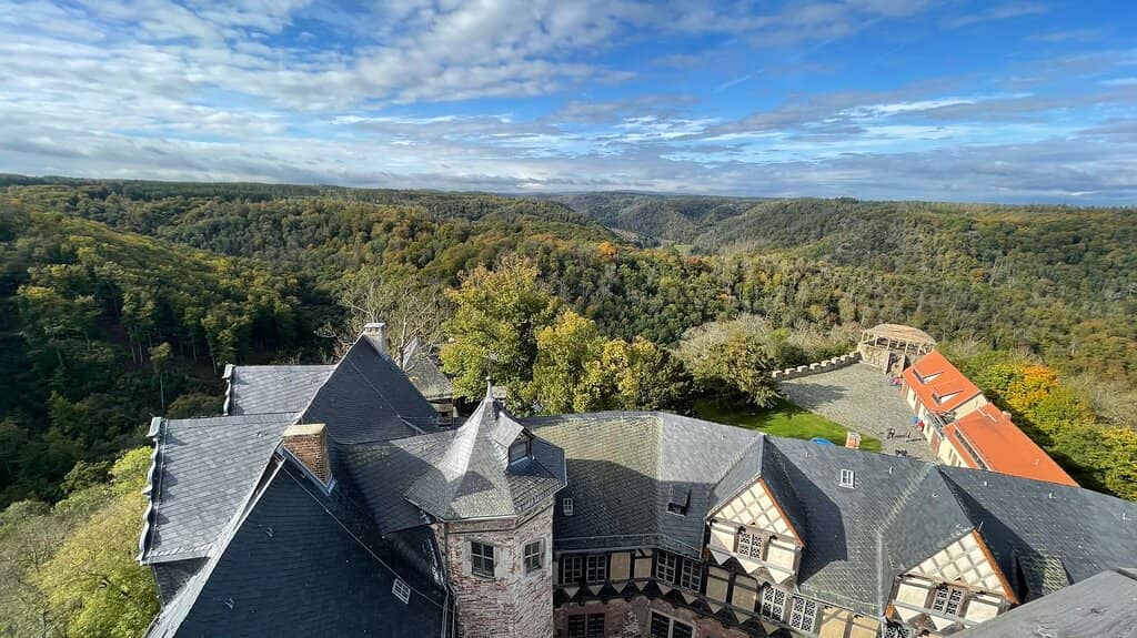 Falconry Demonstrations