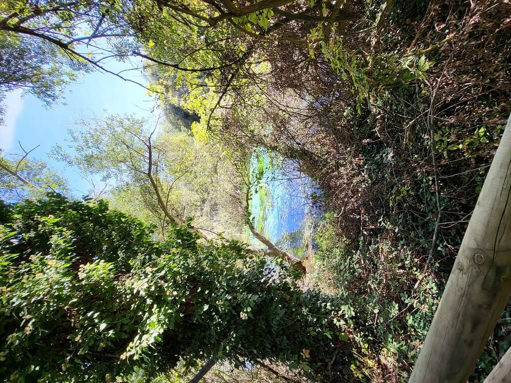 Nature Walks