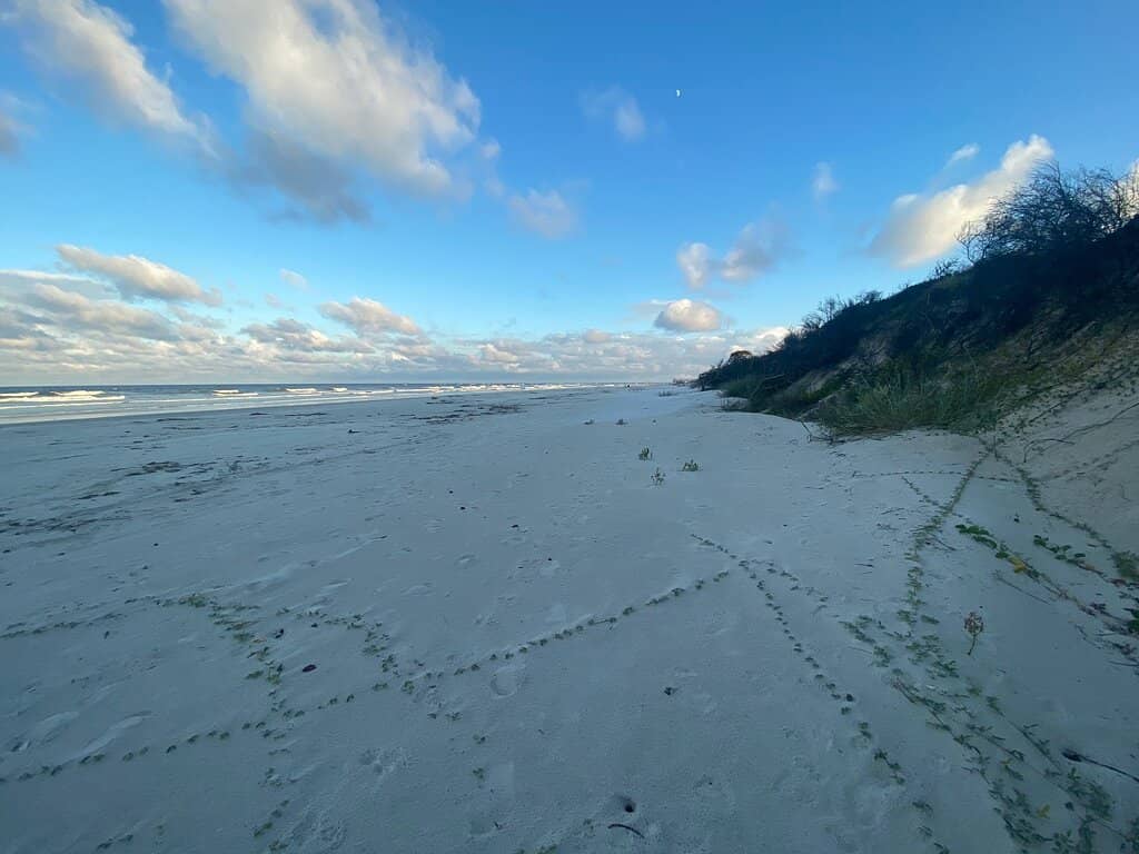 Inlet's Lively Waters