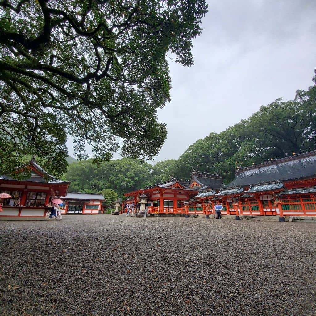Sacred Nagi Tree