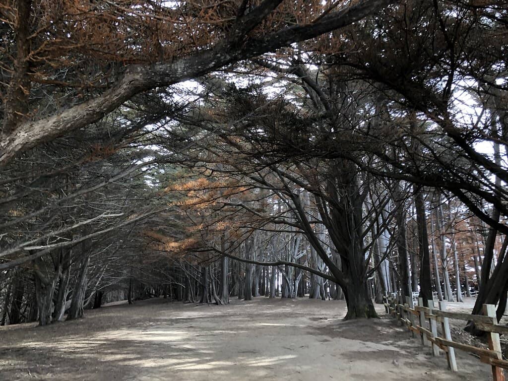 Fascinating Tide Pools