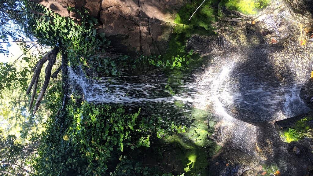 Interactive Animal Exhibits