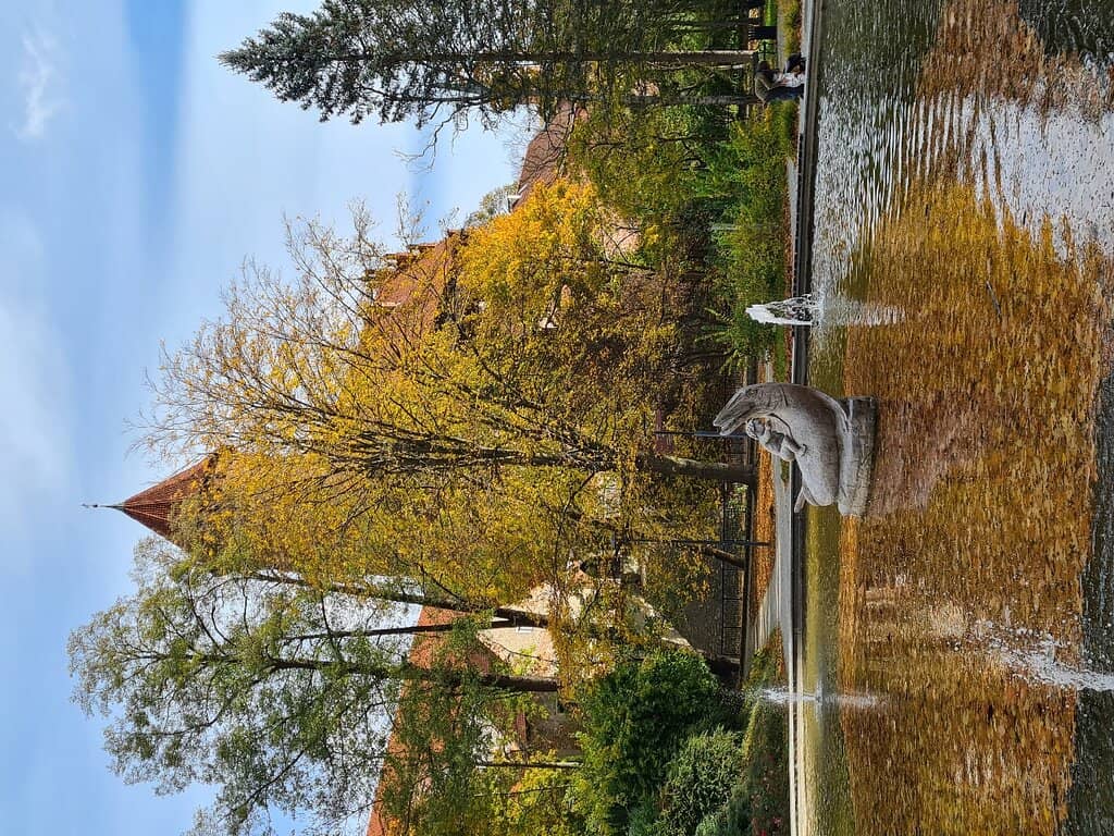 Kayak Launch Points