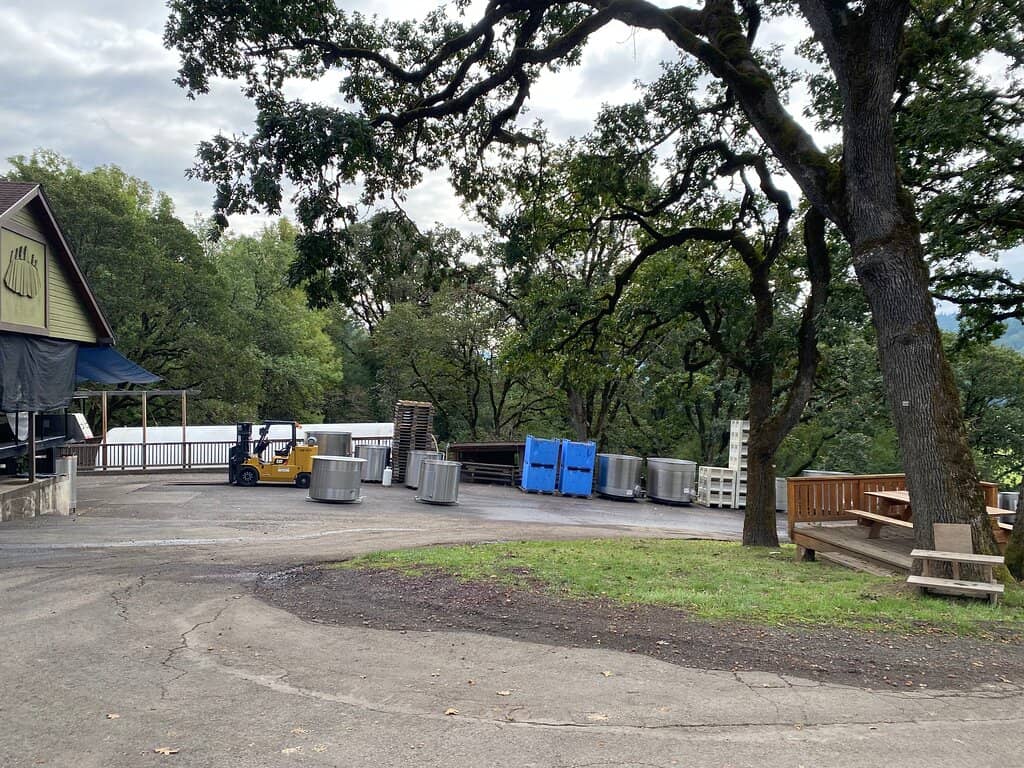 Beautiful Vineyard Setting