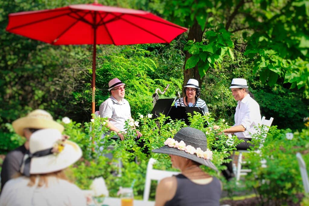 Enchanting Forest Garden