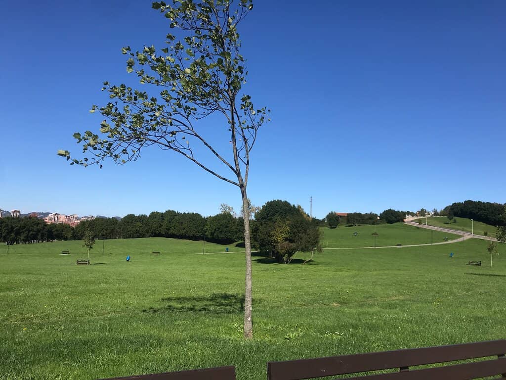 Recreational Facilities