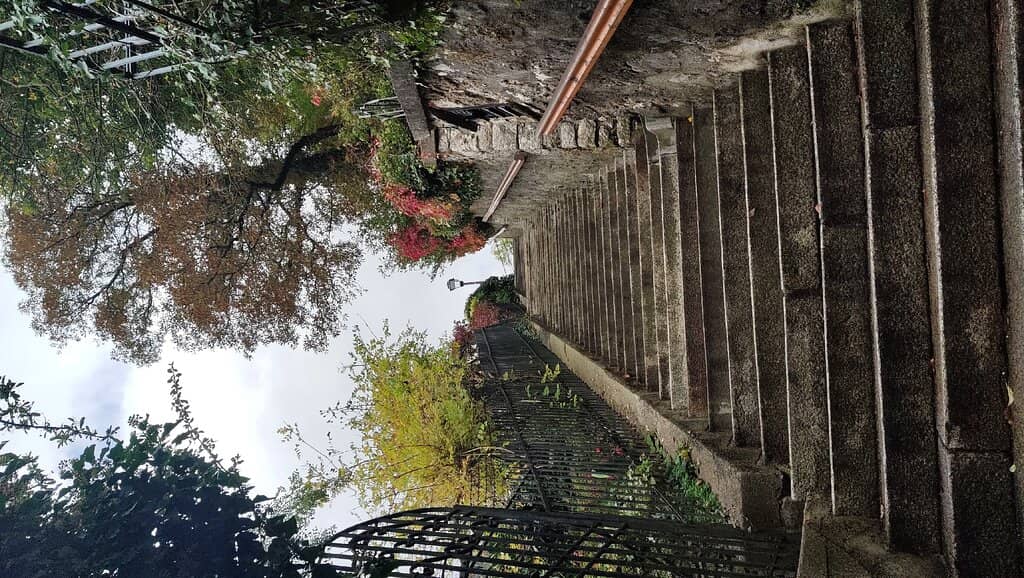 Vertical photo