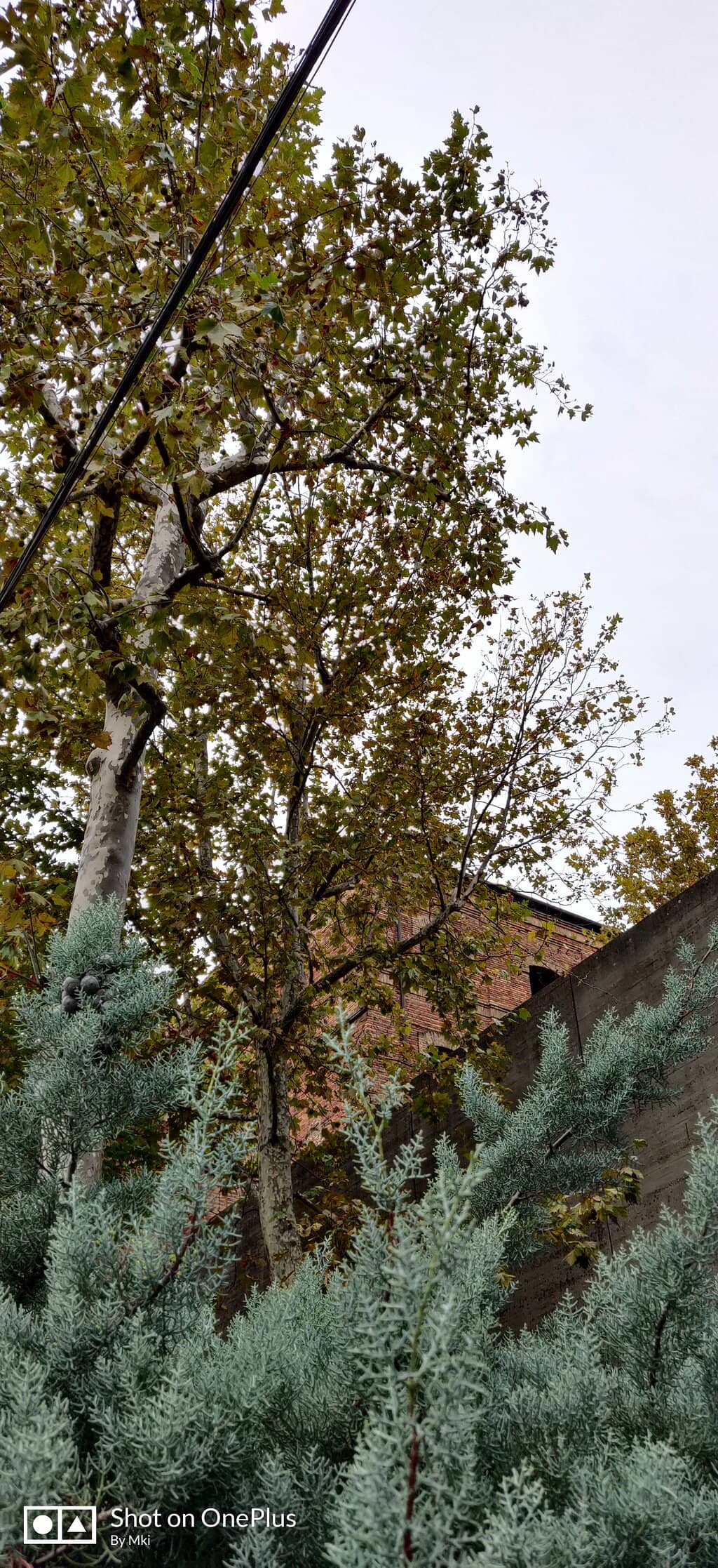 The Monumental Architecture