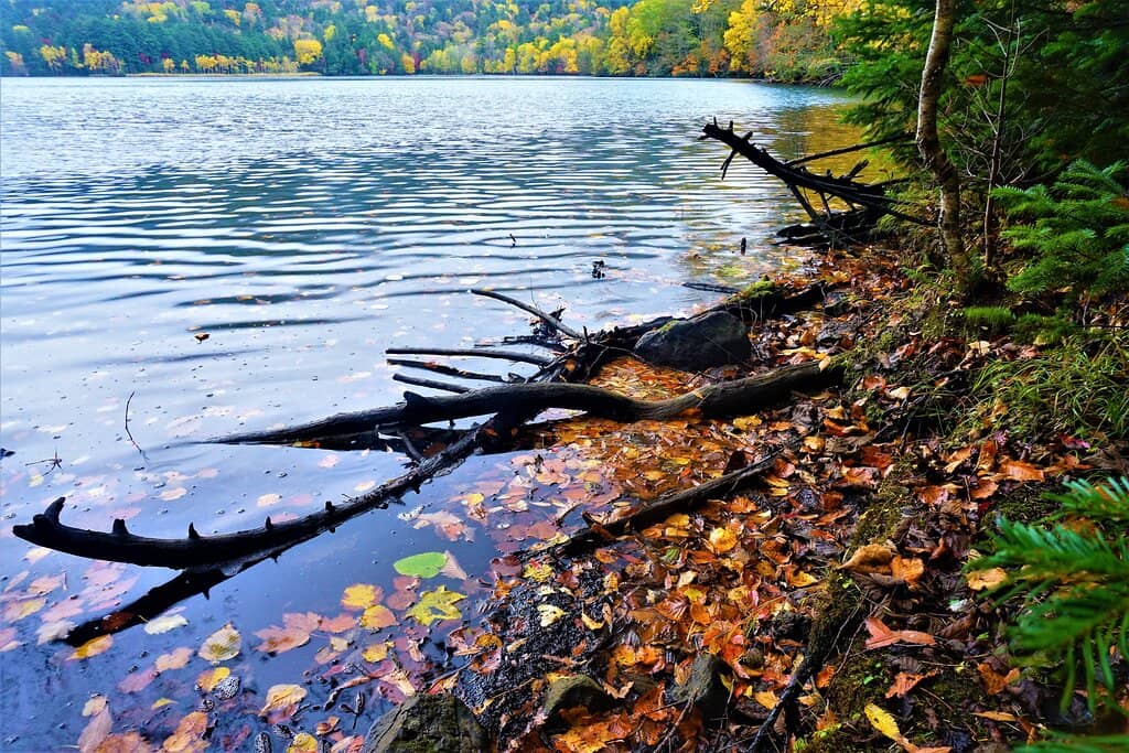 Historical Information Center