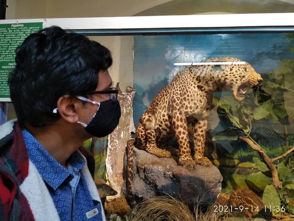 Colonial History Exhibits