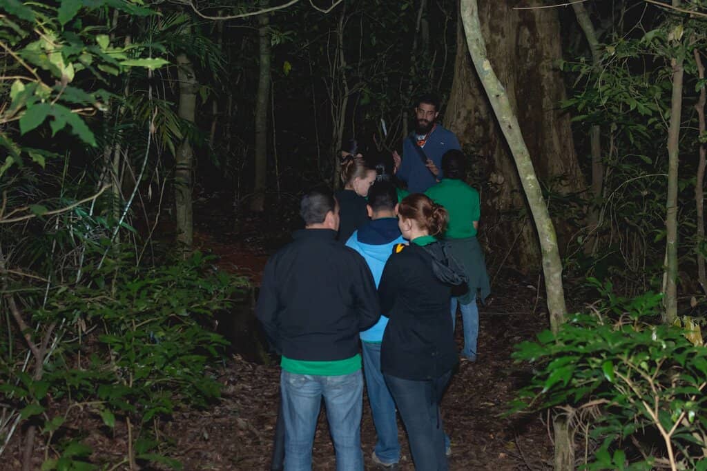 El Tigre Waterfall Trail