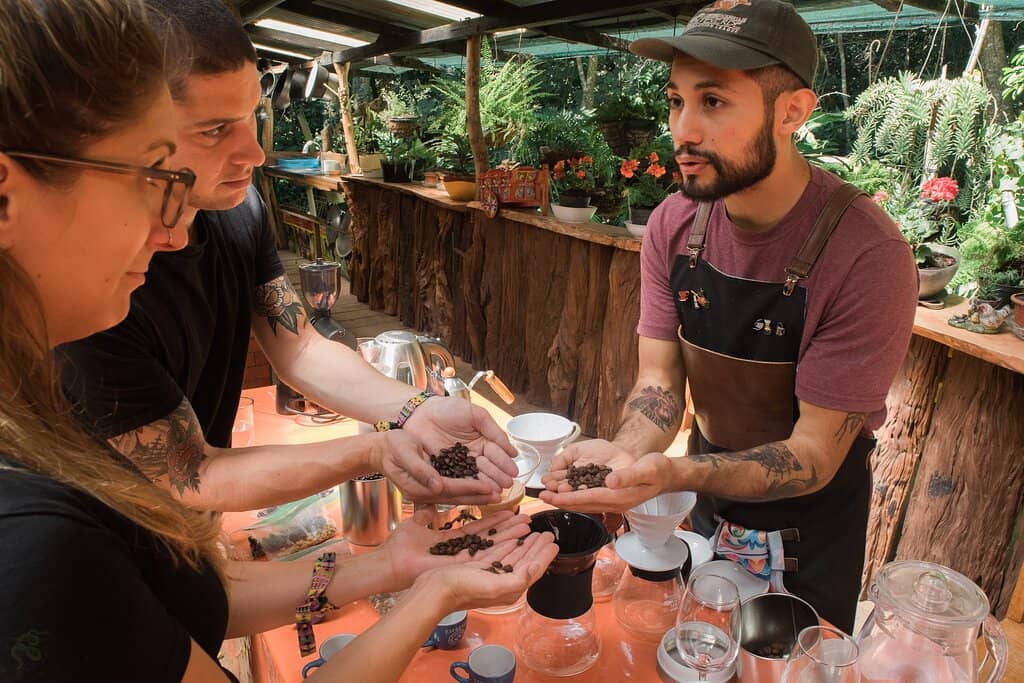 Ziplining Adventures