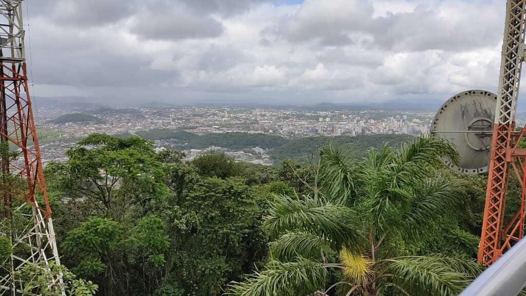 High Forest Boardwalk