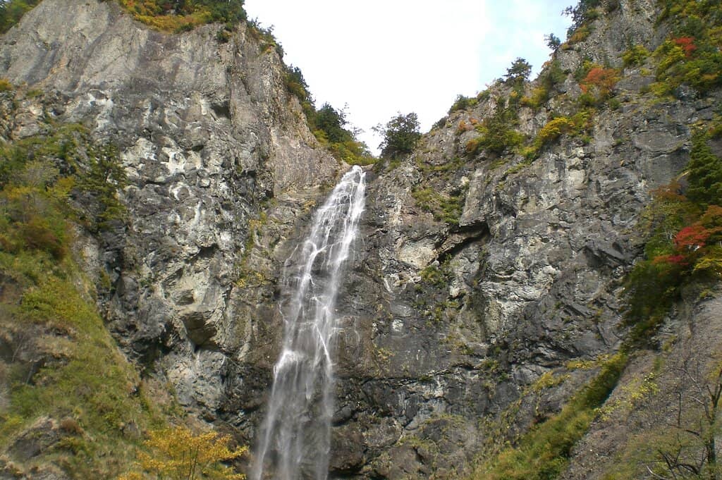 Vertical photo