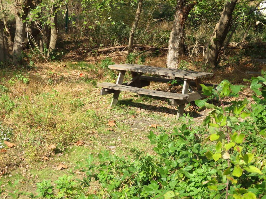 Live Animal Exhibits