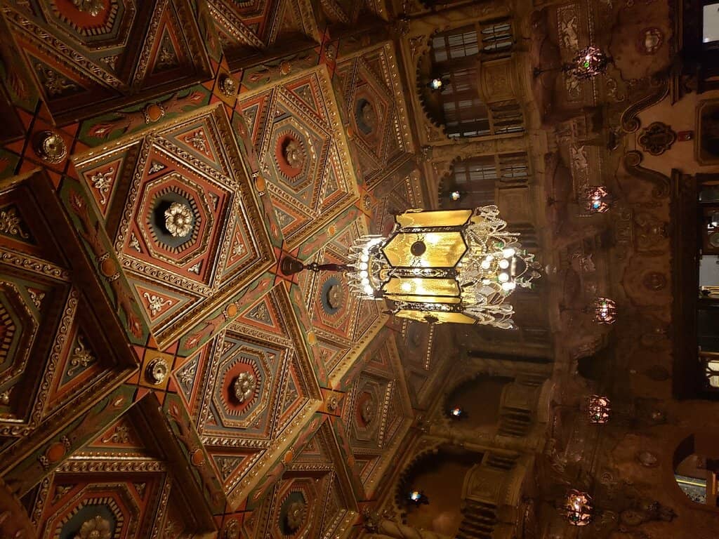 Diverse Musical Performances