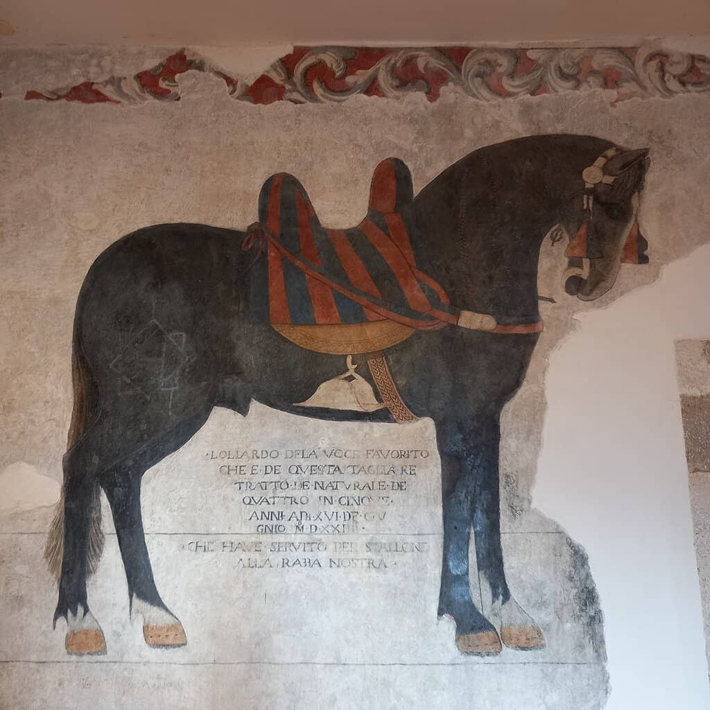 Museo Nazionale del Castello Pandone