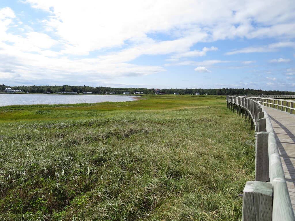 Boardwalk Trail