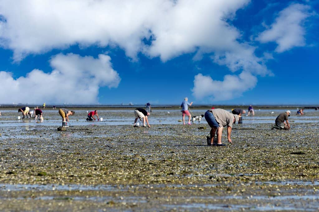 The Submersible Road