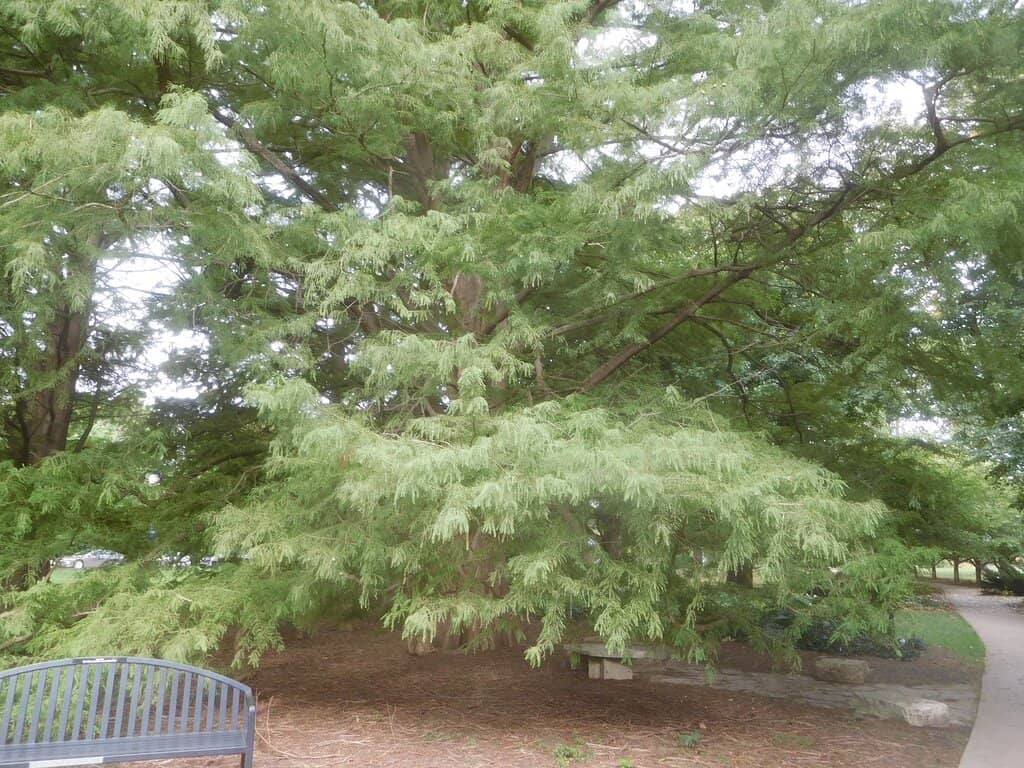 Tranquil Water Features