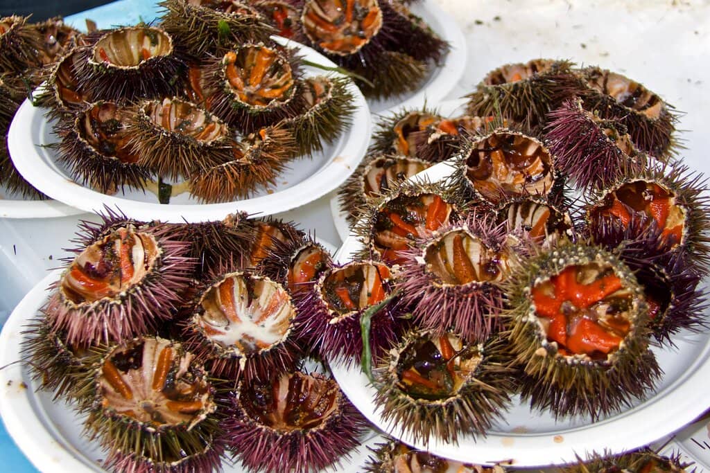 Scenic Train Ride to Niolon