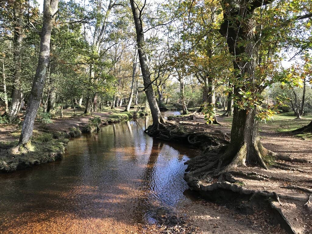 Scenic Walking Trails