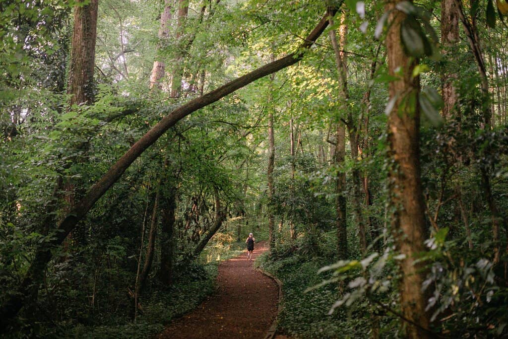 Reynolda Gardens