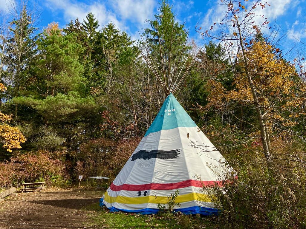 Raptor Day Encounters